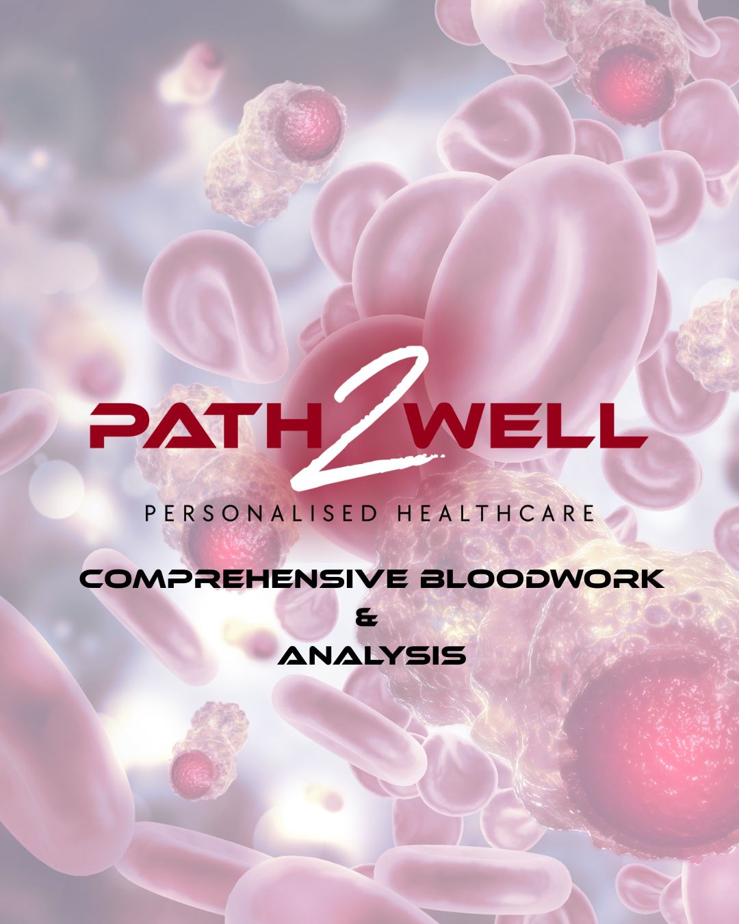 Comprehensive Bloodwork & Analysis